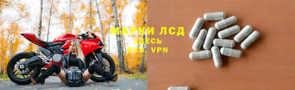 сатива Абинск