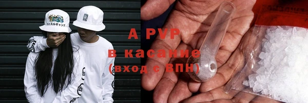 сатива Абинск