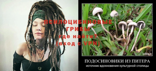 МДПВ Абдулино